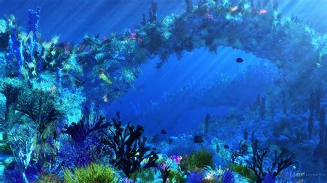 Underwater Backgrounds 66 Images