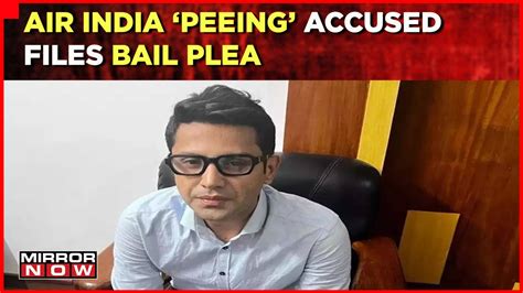 Shankar Mishra Arrested Air India Peeing Accused Files Bail Plea