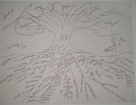 coaching tree  teachers part    teachers coaching teaching