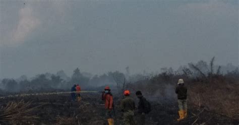 Luas Lahan Terbakar Di Kelurahan Bangsal Aceh Hektar Tim Gabungan