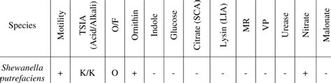 Biochemical test result of Shewanella putrefaciens. | Download ...