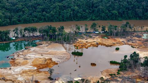 Garimpeiros Come Am A Fugir Da Terra Ind Gena Yanomami Tem Londrina