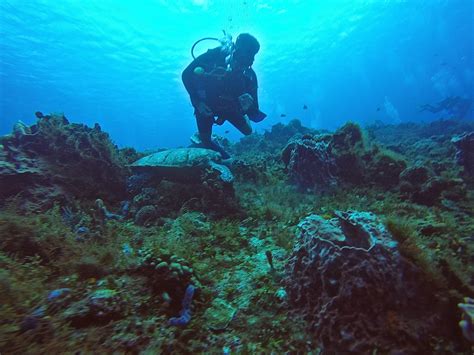 Belize The Hype! - DeeperBlue.com