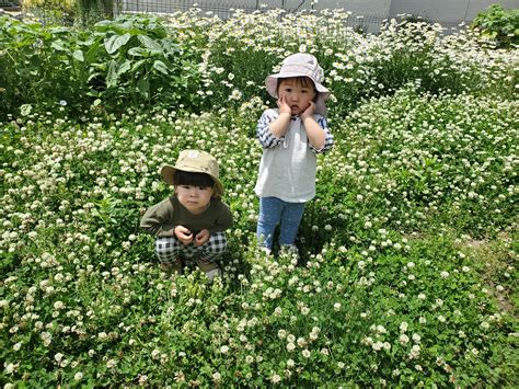 子どもが外遊びをするメリットとは？ かさはら歯科医院 宮城県仙台市の歯医者