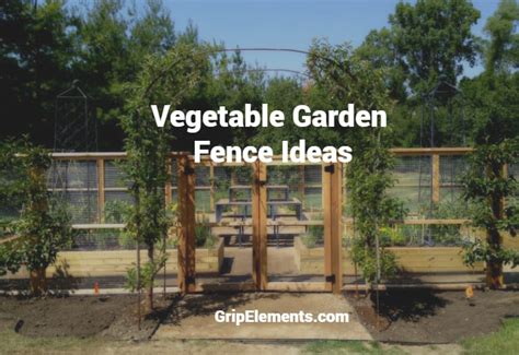 Creative Vegetable Garden Fence Ideas Grip Elements