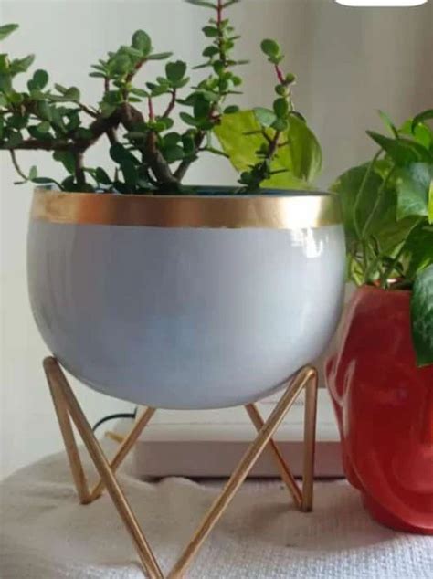 Metal Flower Pot Stand Height 1 Feet Size 9 Inches At Rs 190 In