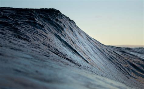 Home — Scottish Association For Marine Science Oban Uk