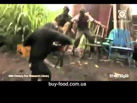 Обезьяна с автоматом - YouTube