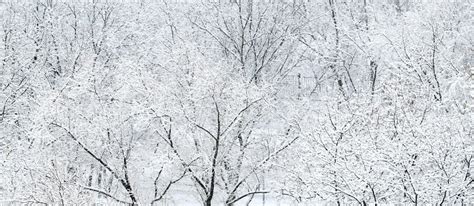 Russie chutes de neige record à Moscou Le Point