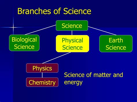 Branches Of Science