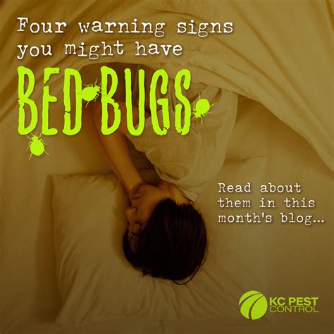 4 Early Signs of Bed Bugs - KC Pest Control