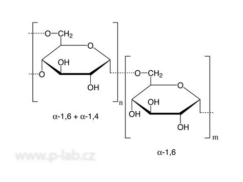 DEXTRAN 6 | P-LAB