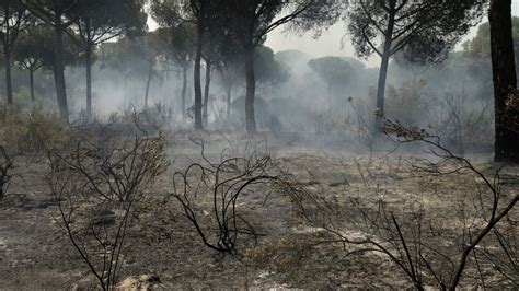 Incendios El Incendio De Doñana Ha Quemado 8486 Hectáreas De Matorral