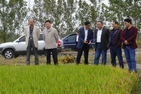 江苏省岗埠农场有限公司