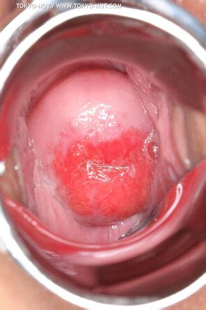 Jayden Jaymes Housewife Porn Pic