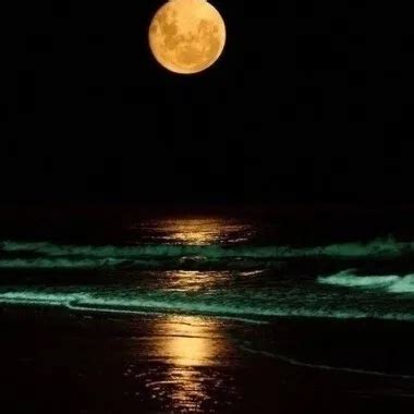 MAYU Gymnastics High Leg Leotard Stretching Non Nude XHamster