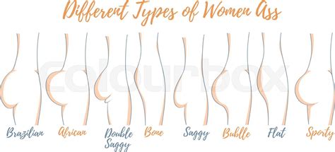Different Types Of Women Ass Vector Illustration Stock Vector Colourbox