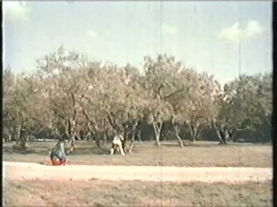 Bat Pussy 1973 Scorethefilm S Movie Blog