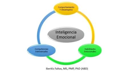 Modelos De Inteligencia Emocional Goleman Mayer Y Salovey Bar On Iccsi