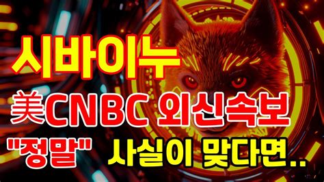 시바이누 코인 美cnbc 외신속보 정말 사실이 맞다면 시바이누 시바이누코인 파이 비트토렌트 비트코인