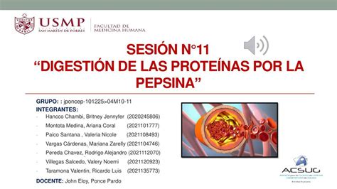 Sesión n11 Digestión de las Proteínas por la Pepsina Mariana