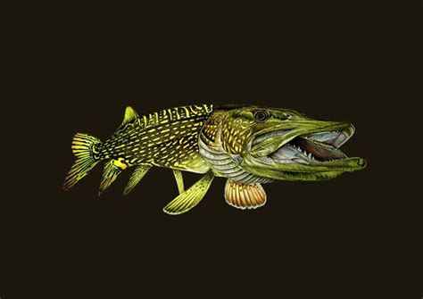 Воблери за сладководен риболов | POWERFISHING.BG