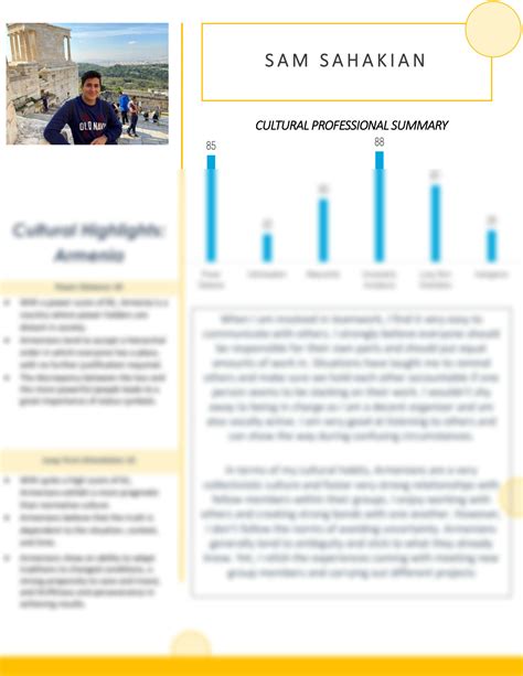 solution professional profile template studypool