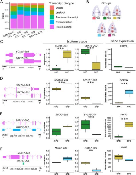 Transcript Biotypes With Differential Transcript Usage Dtu Events