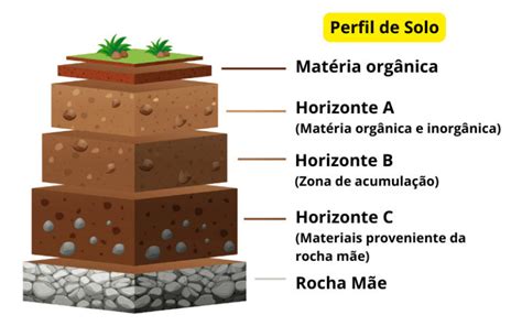 Qual A Composição Do Solo - Biodiversidade do solo: o que é, composição e ameaças