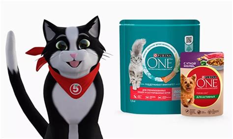 Акция Purina One и Пятерочка: «Счастье в каждом моменте»