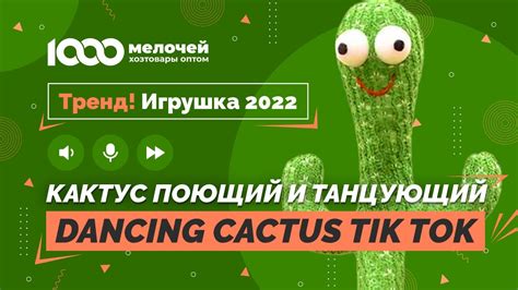 Игрушка кактус поющий и танцующий/Dancing Cactus Tik Tok игрушка ...