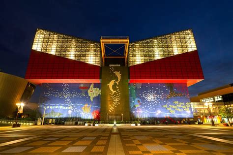 osaka aquarium kaiyukan map images  tips seeker