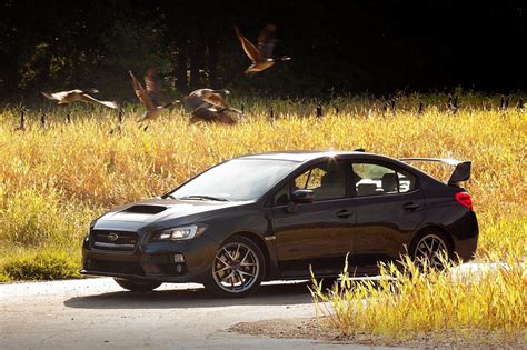 Subaru Wrx Sti Is A Fall Weather Friend Wsj