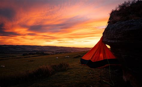 Tent Near Tree · Free Stock Photo