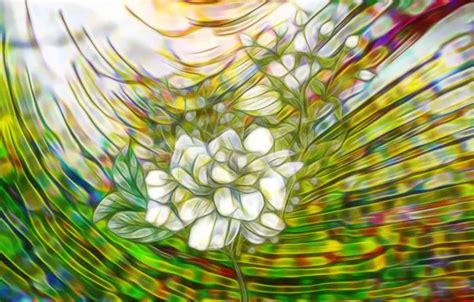 Wallpaper Graphics Flowers Fractal For Mobile And Desktop Section