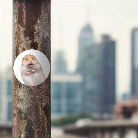 best hamster scared fast 8