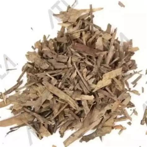 Jual Daun Bambu Kering Indonesia Shopee Indonesia