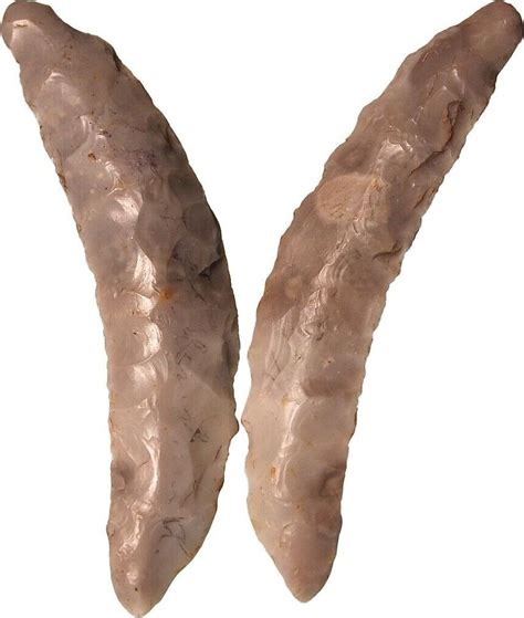 Neolithic Sickle Made Of Flint Stone Age Collection From Denmark From