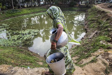 Green Climate Fund Approves Us Million For Undp Supported Project To