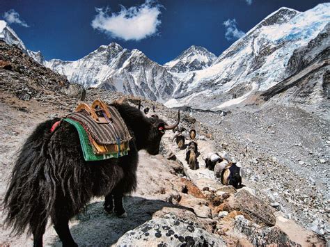 Himalaya Warum Wir Uns Vom Mythos Der Idylle Verabschieden Müssen