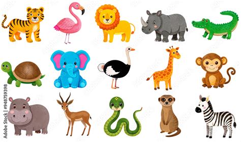 animal clipart transparent exploring  creative  versatile