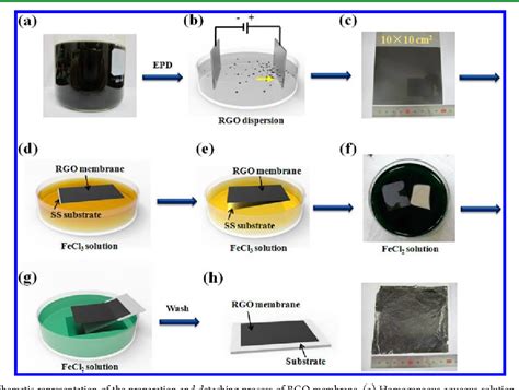 Figure 1 From Large Area Conductive And Flexible Reduced Graphene