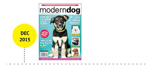 20 Years Of Modern Dog A Visual Timeline Modern Dog Magazine