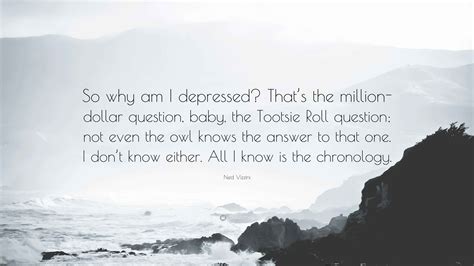 Ned Vizzini Quote: “So why am I depressed? That’s the million-dollar