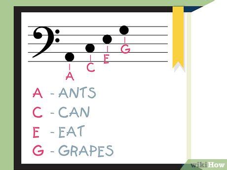 How To Read The Bass Clef Steps With Pictures Wikihow