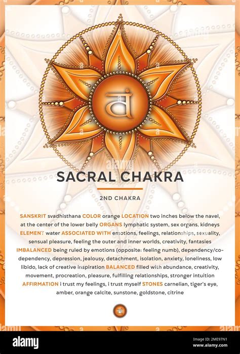 Sacral Chakra Svadhisthana Chakra Symbol Infographic With Detailed