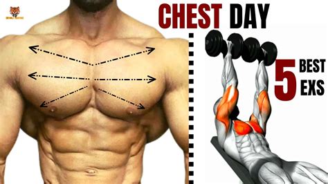 Best Chest Workout At Gym Meilleurs Exs Musculation Poitrine