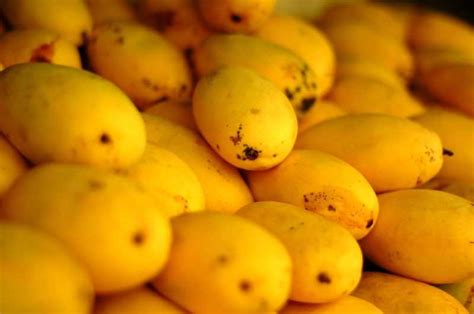 24 Varieties Of Mangoes In India And Where To Find Them