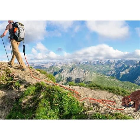 Longe Pour Chien 10M Réfléchissant Long Laisse Chien Avec 2