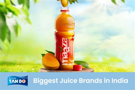 Top 14 Biggest Juice Brands In India 2023 Tan Do